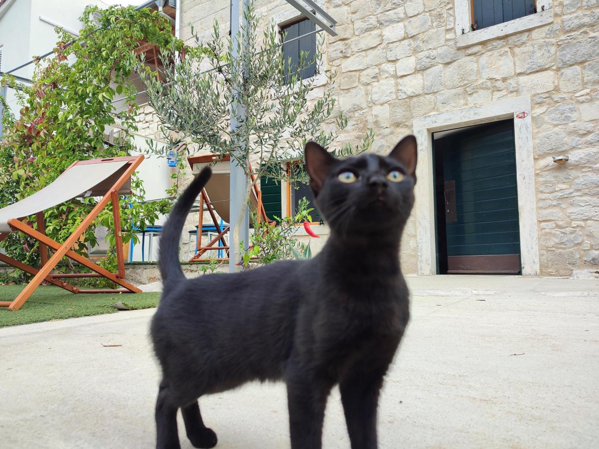 Apartmani Peljesac Sova Sreser Esterno foto